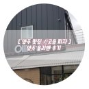 올리앤 양주고읍점 | [ 양주 맛집 / 고읍 피자 ] 양주 올리앤 후기
