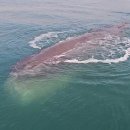 여수해양경찰서광양파출소 이미지