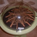 지리산고을 이미지