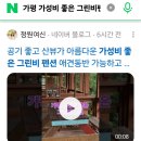 잣나무 향기 펜션 | 가평 가성비 좋은 애견동반 그린비펜션