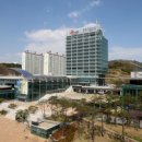 세무법인영남 - 안동시 중앙로 77-8 | 세무법인영남