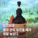 여성용 탈모 샴푸 추천 저자극 임산부 프레젠트라 후기