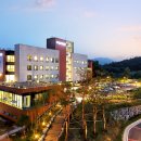 대정 헬스케어 이미지