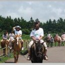 2014년 청소년 여름방학캠프 국토대장정 [제주도+국토횡단] - 프로그램 및 일정 이미지