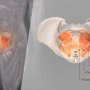 영동헬스클럽 이미지