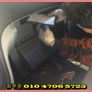 장한평 중고차시장3-2 이미지