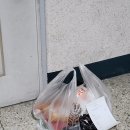 타코잉닭 | 부산 부평깡통시장 배달맛집 가성비 좋은 디엔쿡 타코잉닭 쿠팡이츠 후기