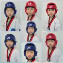 용인대성서태권도 이미지