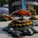 안좌면사무소 이미지