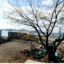 하청면사무소 이미지