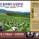 삼조농장 이미지