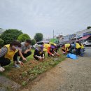 중앙동120 이미지