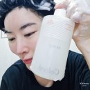 루즈르 꼴로레 인큐베이팅 탈모샴푸 후기: 두피관리 탈모예방 집중 케어
