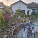 세라의 작은정원 이미지