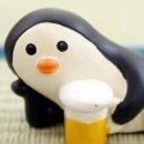 스카우트부설평생교육원