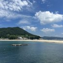 대권민박 이미지