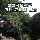 제주 서쪽 숨은명소 산책하러 다녀오기 좋은 명월 팽나무 군락 이미지