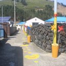 in 섬 story 이미지