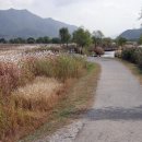 신장둔치 이미지