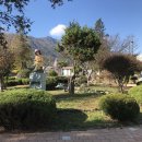 숭산초등학교 티스토리