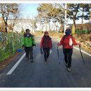 가야산칠불봉야생화마을 이미지