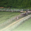 이리목장 이미지