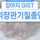 인제메디컬센터 이미지