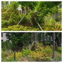 이편한세상시민공원어린이집 이미지