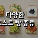 바퀴달린집 김하늘 토스트 만들기 햄치즈 식빵 계란 토스트 아침 캠핑 토스트 이미지