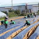 운곡면사무소 이미지