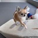 사림동253 이미지