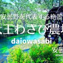 대왕농장1 이미지