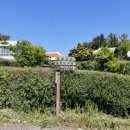 기발한식당 이미지