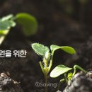 맘스러브