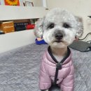 무브멍트 이미지