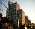 41610-03 네이버블로그