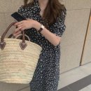 데이지포포