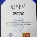 한양태권도 이미지