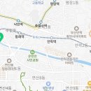 온천천시민공원 백일홍 이미지