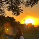 하니움 체육관 정문 앞 | 대학교 정문부터 내 얼굴로 도배되어 있다면?🍁🔥총학생회 선거 후기(3년 전 이야기🤓)