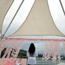 카페86 | [가평/청평/남이섬/북한강] 북한강리버뷰카페 가평대형카페 가평애견동반카페 [카페]더강 방문기