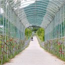 하늘정원펜션 이미지