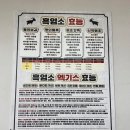 정드림식당 이미지