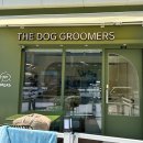 더독그루머스 이미지