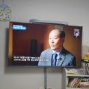 한결농장 | 2024.07.09 천방지축 얼렁뚱땅 말썽쟁이 한결 일상=͟͟͞͞(๑•̀ㅁ•́ฅ✧. + 천하일품감귤농장 🍊 내돈내산후기