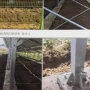 신리태양광발전소 이미지