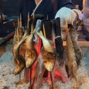 해브솔 방갈로 이미지