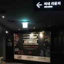 해피앤드 | CGV 압구정 아트하우스 안성기관[ART1관] <해피엔드> 재개봉 후기