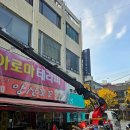 삼화상사 | 부산시노루페인트로 방 꾸미기, 똥손도 쉽게 따라 할 수 있는 팁