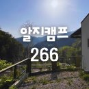 266 | 아기와 함께한 완벽한 캠핑 힐링, 홍천 알지캠프 266 후기